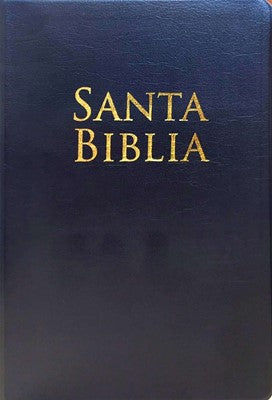 Biblia RVR 1960 Letra Grande Tamaño Manual Vinilo Negro