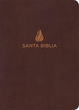Biblia RVR60 - Letra Grande - Tamaño Compacto - Piel Fabricada Vino