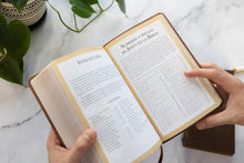 Cargar imagen en el visor de la galería, Biblia RVR60 - de Promesas - Jesús para Todos - Tamaño Manual - Letra Grande - Símil Piel - Café - Novedad
