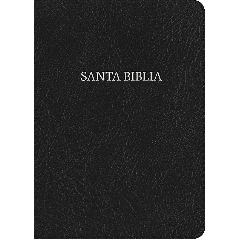 Biblia NVI - Letra Gigante - Símil Piel Negro