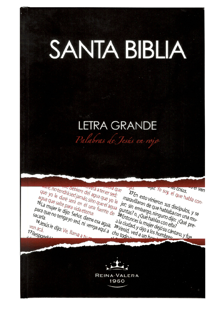 Biblia RVR60 - Letra Grande - Pasta Dura