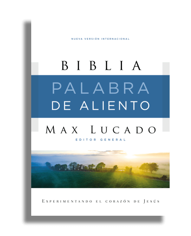 Biblia NVI - de Estudio Palabra de Aliento - Max Lucado - Símil Piel Café