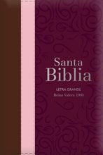 Cargar imagen en el visor de la galería, Biblia RVR 1960 Letra Grande Tamaño Manual Tricolor Guinda Café Rosa Marron - Índice y Cierre
