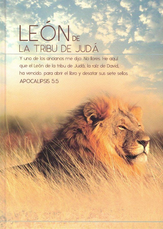 Diario y cuaderno de Notas - León de la Tribu de Judá - Apocalipsis 5:5