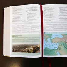 Cargar imagen en el visor de la galería, New King James Study Bible - Purple Leathersoft

