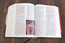 Cargar imagen en el visor de la galería, Biblia de Estudio Holman RVR60 - Pasta Dura
