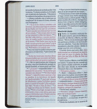 Cargar imagen en el visor de la galería, Biblia NVI Letra Gigante 13 Puntos - Símil Piel Marrón
