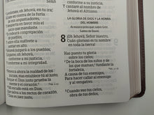 Cargar imagen en el visor de la galería, Biblia RVR60 Letra Gigante - Marrón - Piel Fabricada - Palabras de Jesús en Rojo
