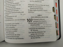 Cargar imagen en el visor de la galería, Biblia RVR 1960 Letra Grande Tamaño Manual Piel Fabricada Negro con Índice
