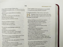 Cargar imagen en el visor de la galería, RVR60 - Biblia de Estudio para Mujeres - Vino Tinto/Fucsia - Símil Piel
