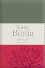 Cargar imagen en el visor de la galería, Biblia RVR60 Letra Grande Tamaño Manual Tricolor - Con Cierre - Con Índice
