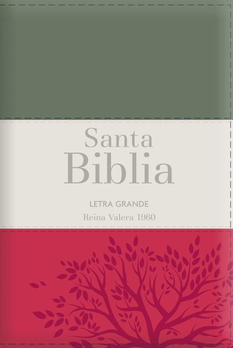 Biblia RVR60 Letra Grande Tamaño Manual Tricolor - Con Cierre - Con Índice