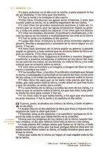 Cargar imagen en el visor de la galería, Biblia RVR60 - Letra Grande - Mi Legado - Símil Piel Café
