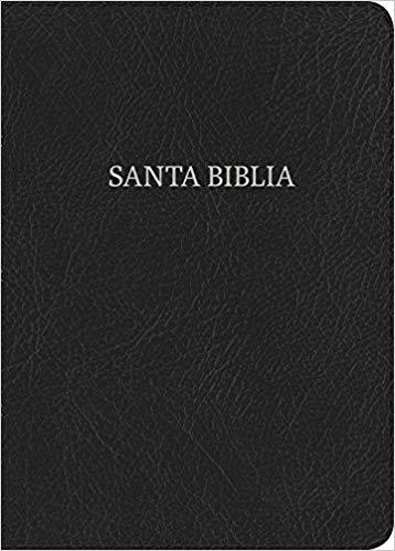 Biblia RVR 1960 Compacta Negro Piel Fabricada