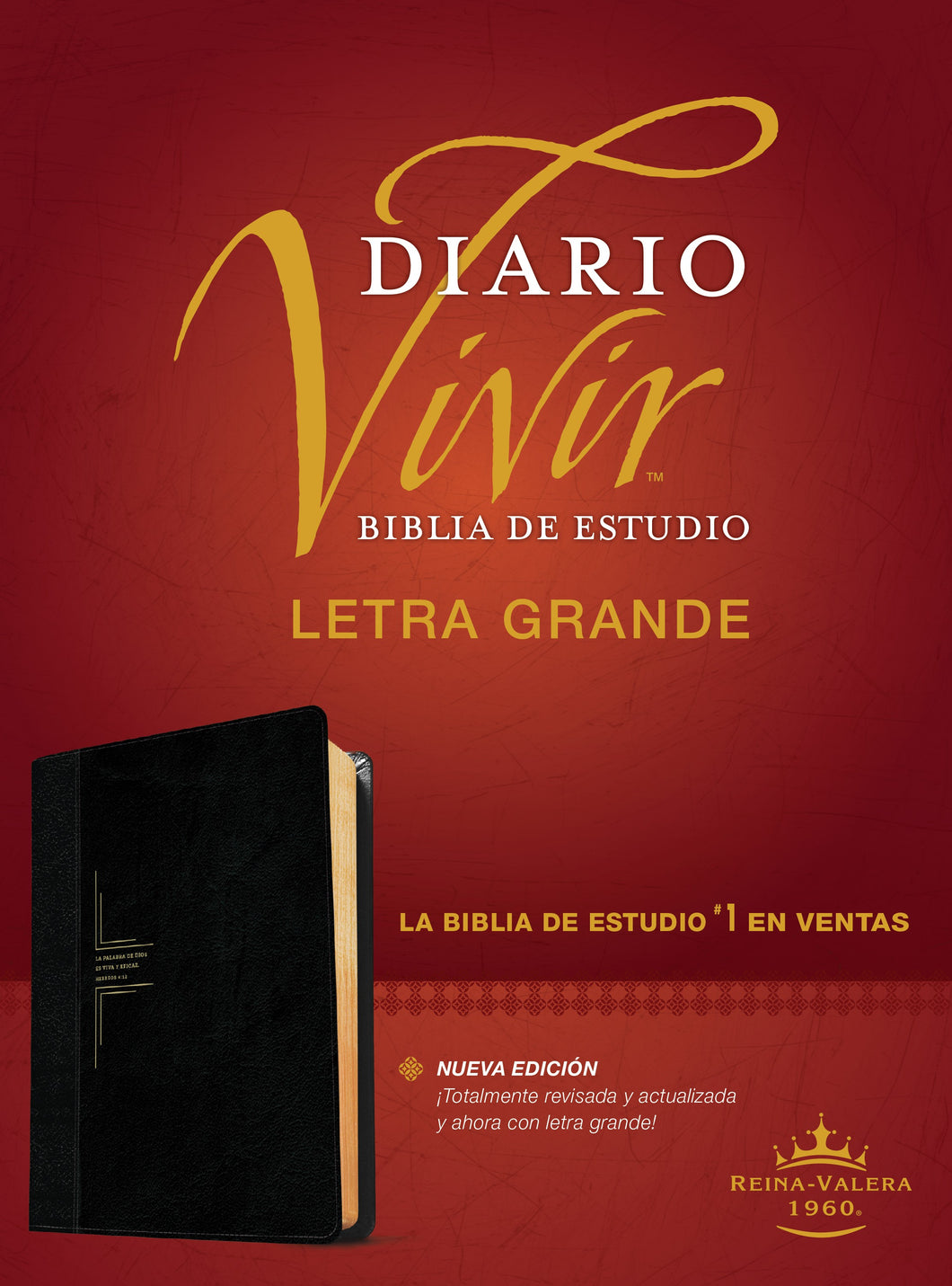 Biblia RVR60 - Letra Grande - de Estudio del Diario Vivir - Sentipiel Negro